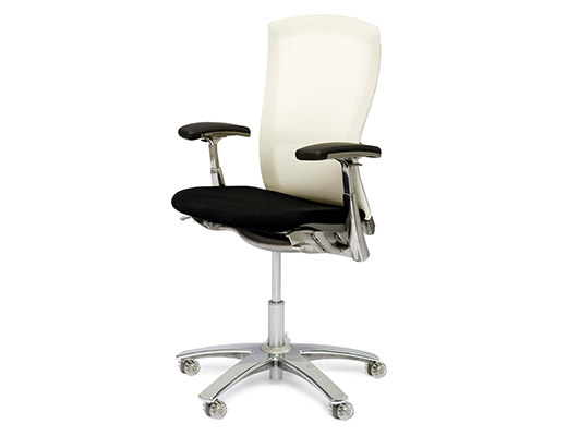 Life Chair